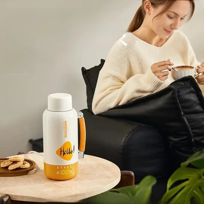 Cốc ấm đun nước điện di động cho ô tô và cắm điện 1L 316 thép không gỉ