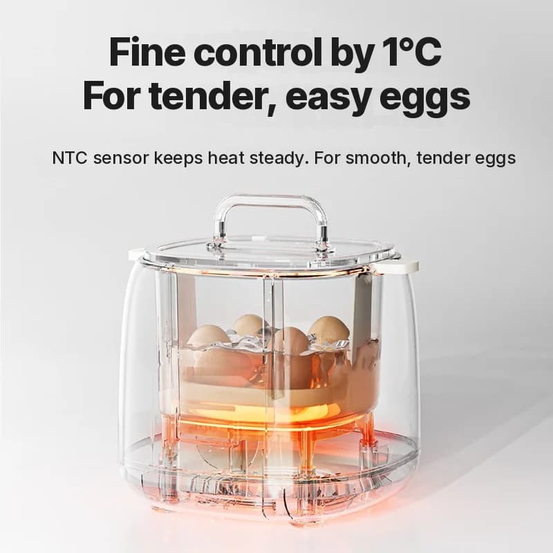 Máy luộc trứng điện 4-6 quả kèm chén hấp trứng