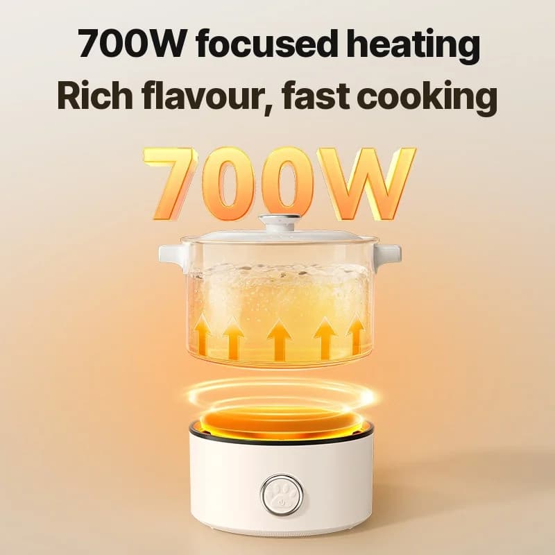 Nồi nấu điện gấp gọn di động 110V-220V 550W/700W